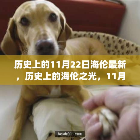 海伦之光，历史上的蜕变与成长之路，自信书写未来的11月22日纪念时刻