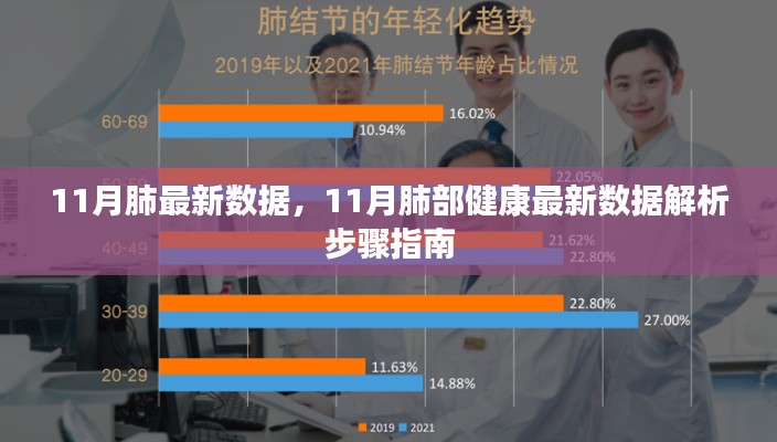 11月肺部健康数据解析，最新数据与步骤指南