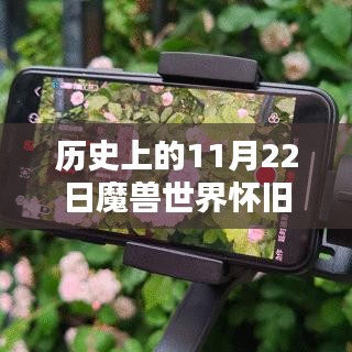 魔兽世界怀旧服11月22日最新任务指南，初学者与进阶用户的完成指南
