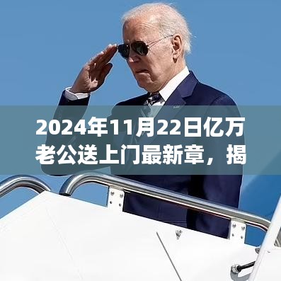 亿万老公送上门，情感与命运的邂逅揭秘最新章节故事（2024年11月22日）