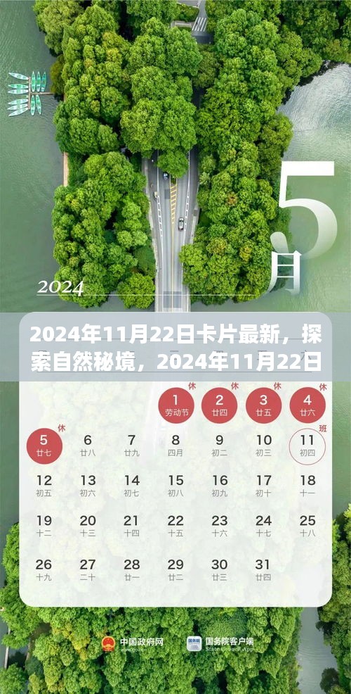 探索自然秘境，最新卡片引领心灵之旅