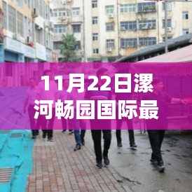 漯河畅园国际最新动态深度解析，11月22日消息速递