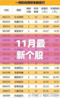 跃动股市，最新个股视频引领财富之路，开启自信成就之旅