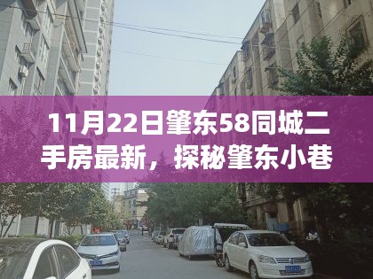 探秘肇东小巷特色小店背后的隐藏宝藏，最新二手房故事与房源解析