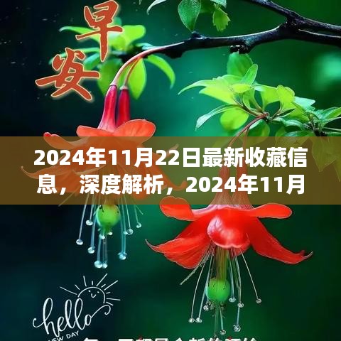 深度解析，2024年收藏信息产品特性与使用体验
