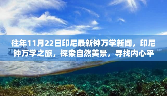 印尼钟万学新闻揭秘，自然之旅与内心平静的追寻之旅