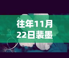 温馨的十一月记忆，裴墨林的荼蘼时光最新章节发布