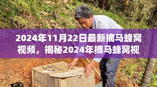揭秘，2024年摘马蜂窝视频背后的故事与时代印记实录首曝光