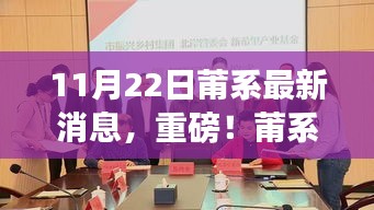 揭秘莆系最新动态，11月22日重磅消息一览