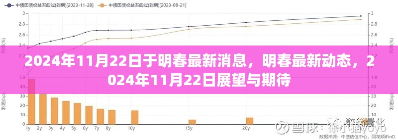 2024年11月22日明春最新动态与展望，未来期待与揭秘