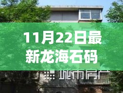 龙海石码地区最新房源出租信息详解，优质住宅全面解读