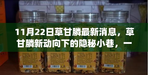 草甘膦新动向揭秘，特色小店的奇妙之旅