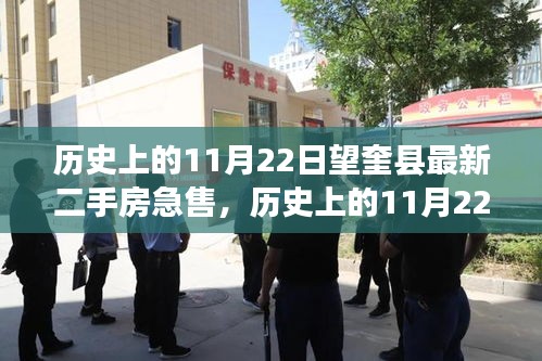 历史上的11月22日望奎县二手房市场急售动态揭秘