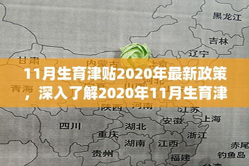 2020年11月生育津贴最新政策解读与申请指南