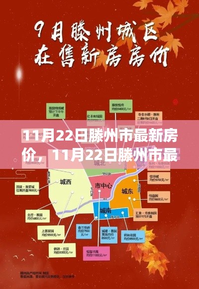11月22日滕州市房价最新动态，市场走势分析与购房指南