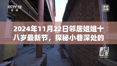 邻居姐姐十八岁的秘密小店，探秘小巷深处的独特风味（最新节日纪念版）