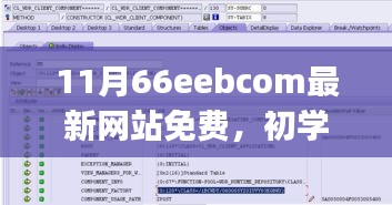 初学者与进阶用户适用的最新66eebcom免费网站使用指南（附犯罪风险警示）
