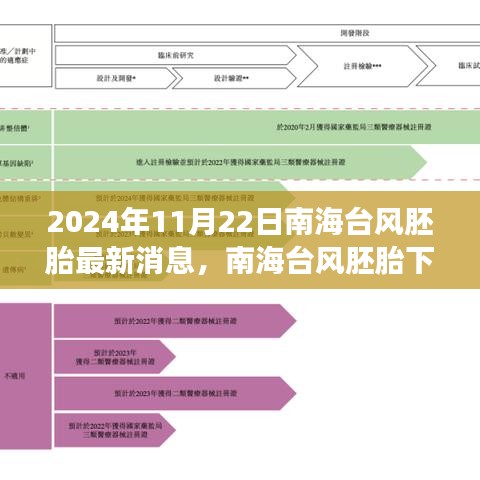 南海台风胚胎最新消息，不期而遇的陪伴之旅