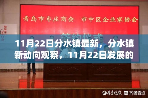 分水镇最新动向观察，双刃剑效应分析与发展趋势探讨