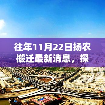 往年11月22日扬农搬迁最新消息，探秘小巷深处的独特风味——记一家隐藏版特色小店的扬农搬迁新篇章
