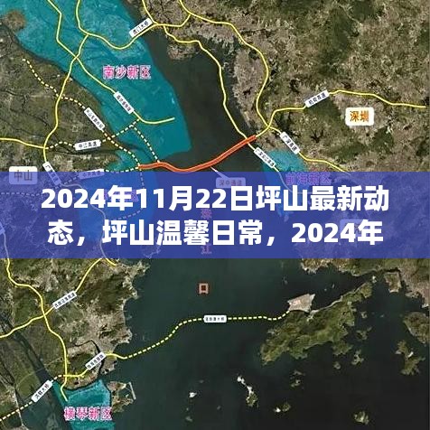 坪山温馨日常，2024年11月22日的欢乐时光