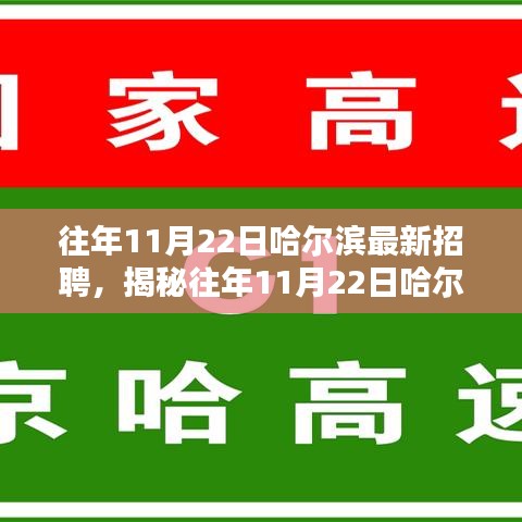 揭秘哈尔滨历年11月22日最新招聘趋势与求职热点速递