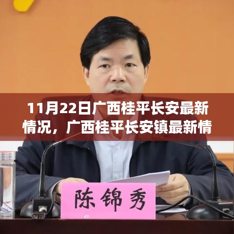 广西桂平长安镇最新动态，11月22日全方位指南详解
