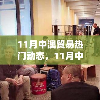 涉政热议，深度解析11月中澳贸易动态与趋势展望