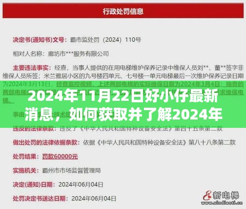 2024年11月22日好小仔最新消息全解析，获取与了解详细步骤指南