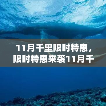 11月千里特惠活动火热开启，三大亮点，限时特惠不容错过！