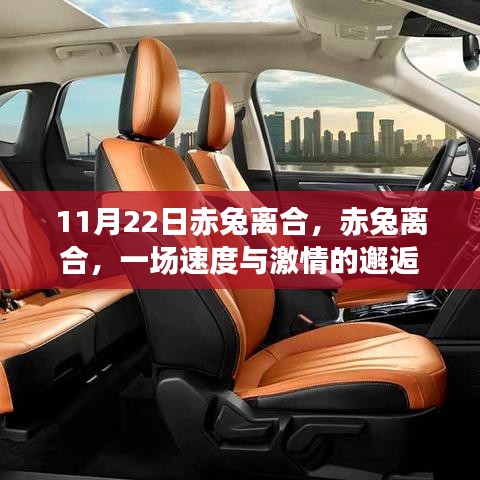 赤兔离合，速度与激情的相遇