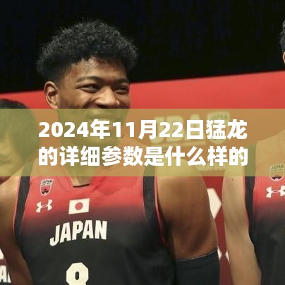揭秘未来猛龙参数，2024年11月22日猛龙详细参数解析与获取指南（初学者与进阶用户必读）