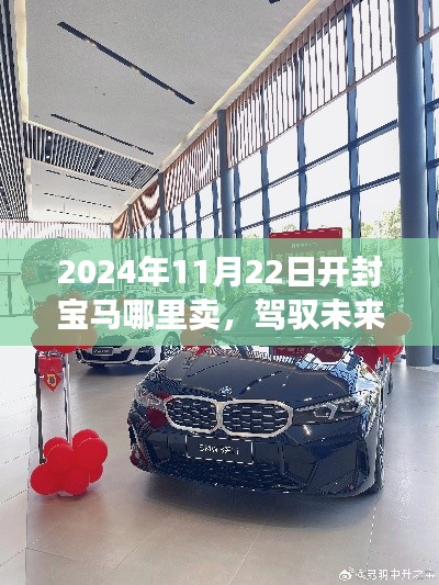 2024年11月22日开封宝马哪里卖，驾驭未来的宝马，学习变化，自信闪耀，开封之旅启程