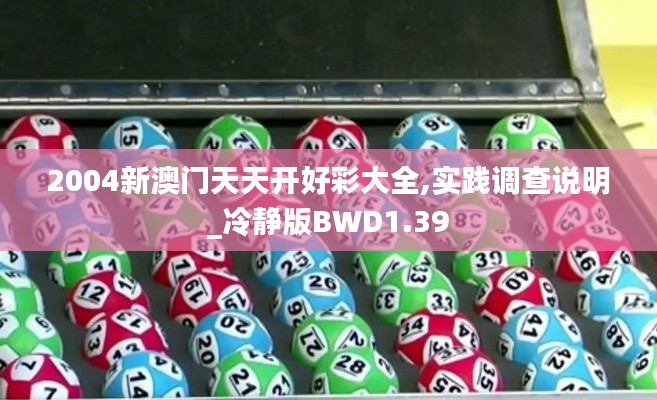 2004新澳门天天开好彩大全,实践调查说明_冷静版BWD1.39