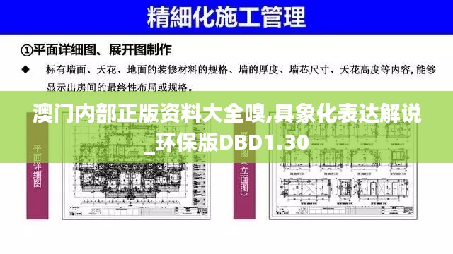 澳门内部正版资料大全嗅,具象化表达解说_环保版DBD1.30
