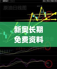 新奥长期免费资料大全三肖,社会承担实践战略_自由版WHI1.20