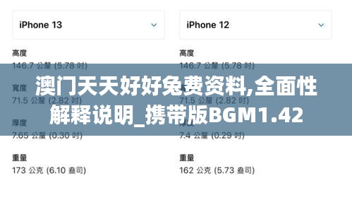 澳门天天好好兔费资料,全面性解释说明_携带版BGM1.42