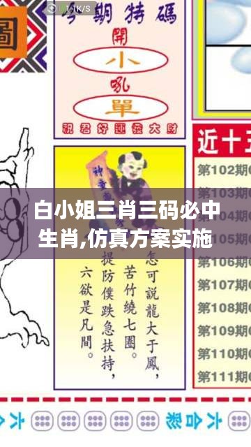 白小姐三肖三码必中生肖,仿真方案实施_开放版YDP1.7