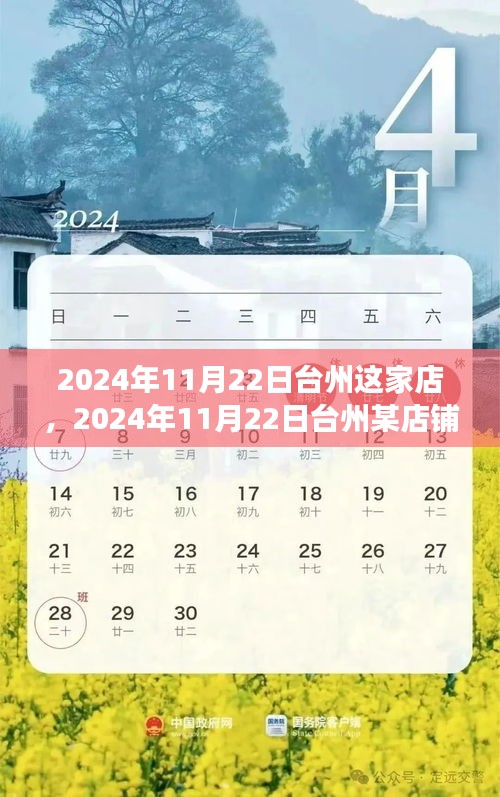 台州店铺发展展望，机遇与挑战并存，展望于2024年11月22日的未来之路