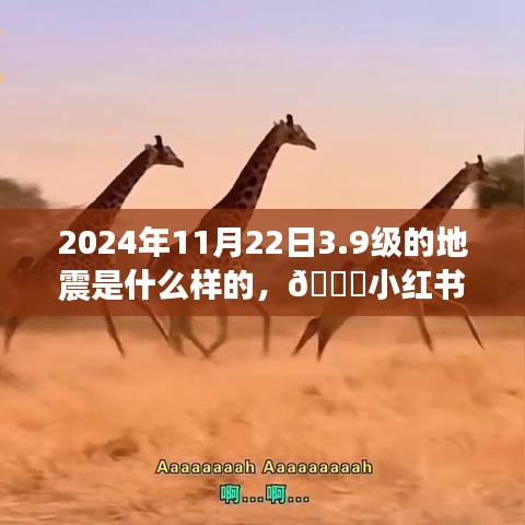 子母门 第317页