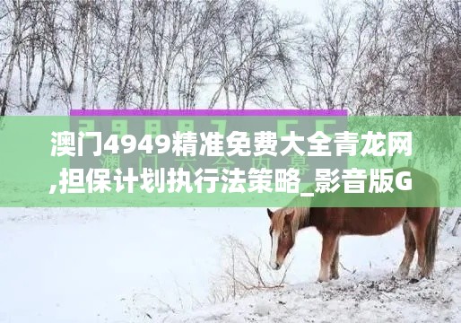 澳门4949精准免费大全青龙网,担保计划执行法策略_影音版GRS1.28