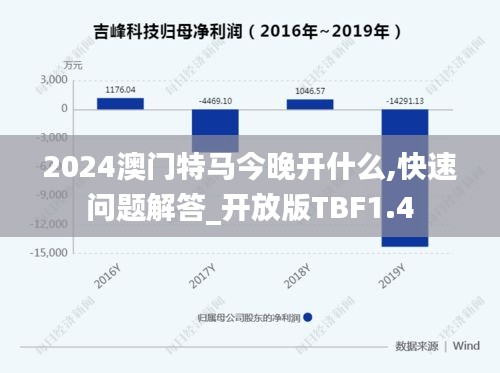 2024澳门特马今晚开什么,快速问题解答_开放版TBF1.4