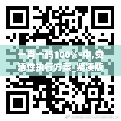 一肖一码100%-中,灵活性执行方案_紧凑版JJE1.14