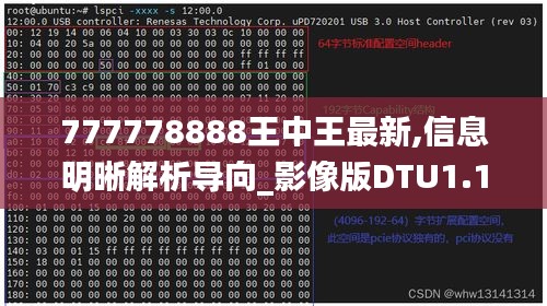 777778888王中王最新,信息明晰解析导向_影像版DTU1.14