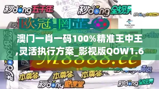 澳门一肖一码100%精准王中王,灵活执行方案_影视版QOW1.64
