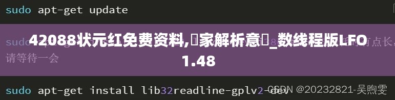 42088状元红免费资料,專家解析意見_数线程版LFO1.48