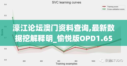 濠江论坛澳门资料查询,最新数据挖解释明_愉悦版OPD1.65