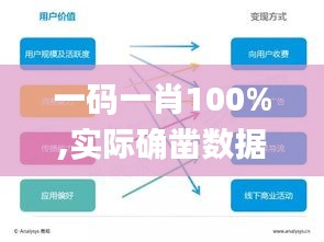 一码一肖100%,实际确凿数据解析统计_轻奢版VSF1.16