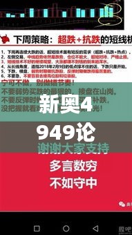 新奥4949论坛高手,快速解决方式指南_亲和版ZGC1.91