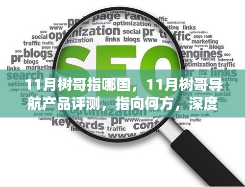 深度解读，树哥导航产品特性与体验，揭秘其指向何方——11月导航评测